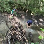 Datei19-2025-07-04-22.02.33